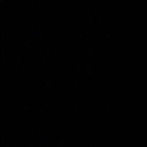 Meet your Posher, Lee